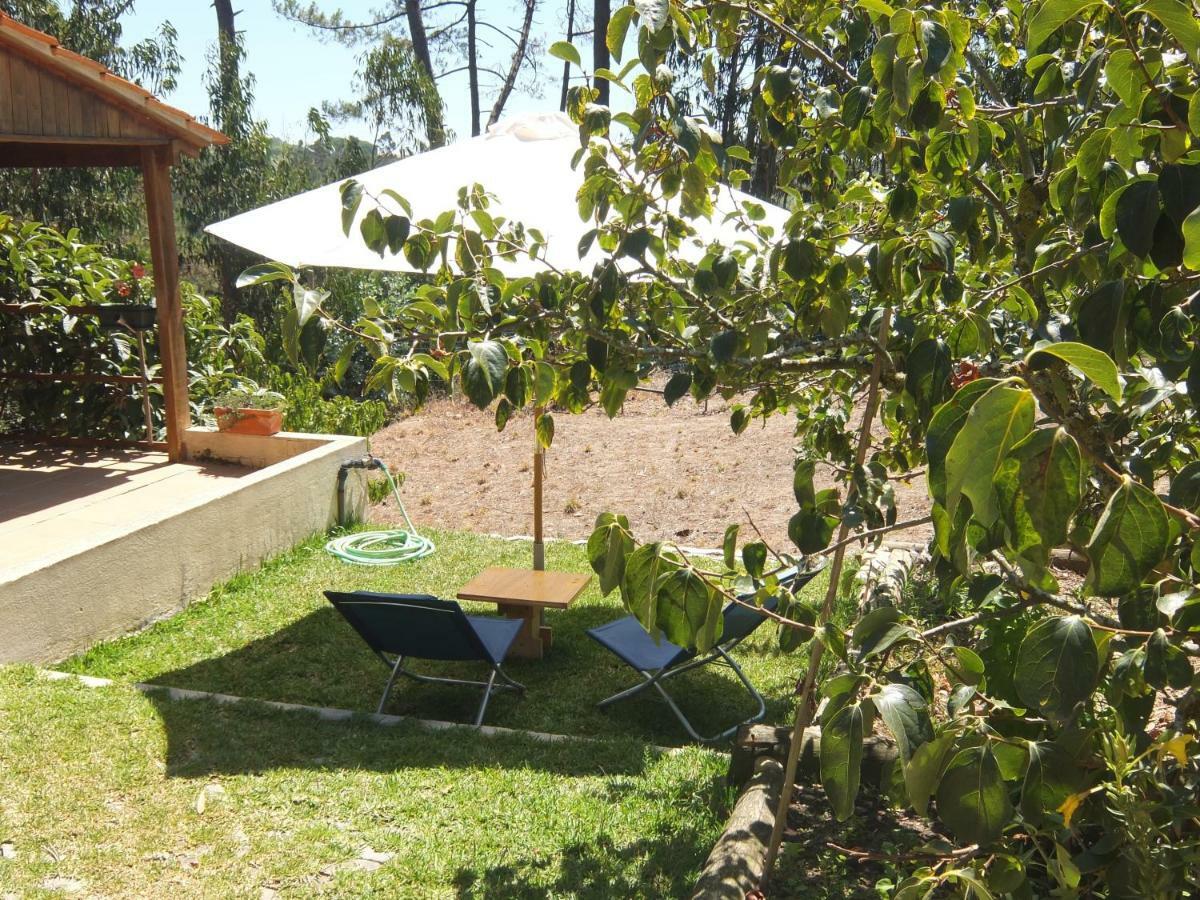 Ecobosque Villa Nadadouro Exterior photo
